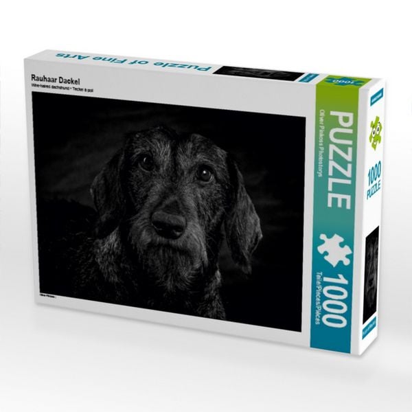 CALVENDO Puzzle Rauhaar Dackel | 1000 Teile Lege-Größe 64x48cm Foto-Puzzle für glückliche Stunden