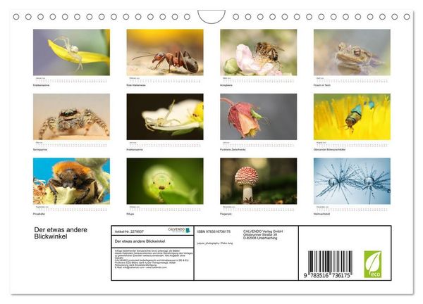 Produktbild: Der etwas andere Blickwinkel (Wandkalender 2026 DIN A4 quer), CALVENDO Monatskalender