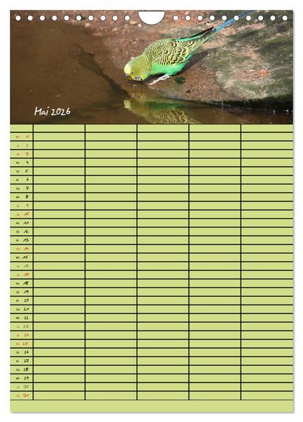 Produktbild: Der Wellensittich-Familienplaner (Wandkalender 2026 DIN A4 hoch), CALVENDO Monatskalender