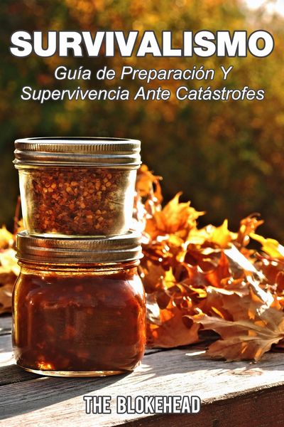 Produktbild: Survivalismo - Guia de preparacion y supervivencia ante catastrofes