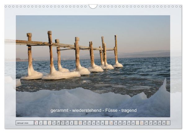 Produktbild: Entdeckend: Natur - Energie - Zufriedenheit (Wandkalender 2026 DIN A3 quer), CALVENDO Monatskalender