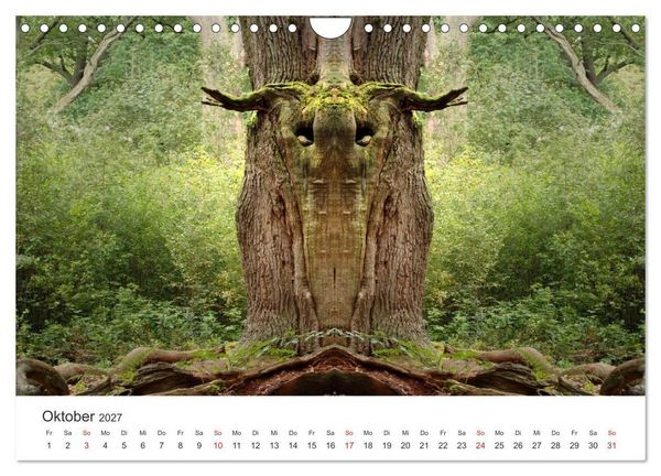 Produktbild: Spiegelwelten - Natur anders sehen (Wandkalender 2027 DIN A4 quer), CALVENDO Monatskalender