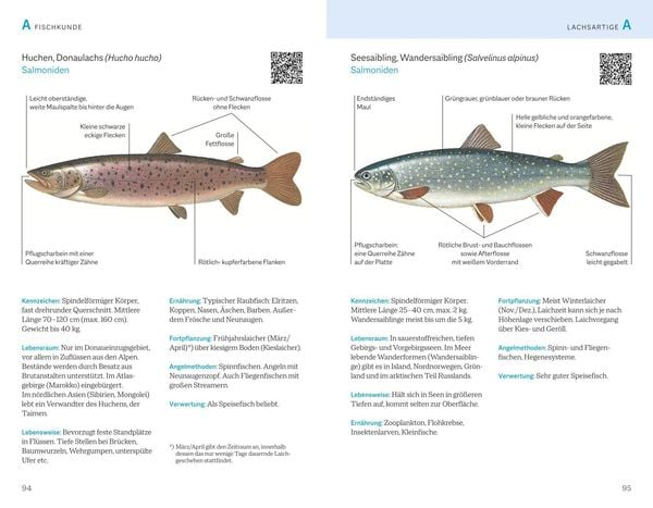 Fischerprüfung