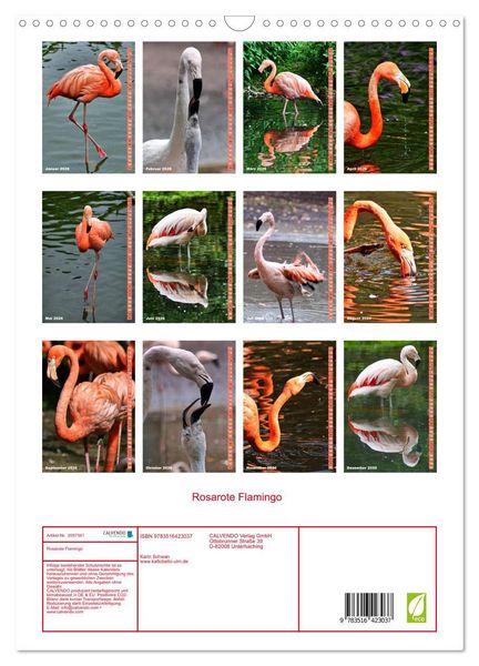 Produktbild: Rosarote Flamingo (Wandkalender 2026 DIN A3 hoch), CALVENDO Monatskalender