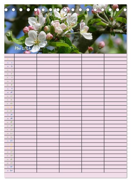 Produktbild: Kleine Natursch&ouml;nheiten (Tischkalender 2026 DIN A5 hoch), CALVENDO Monatskalender