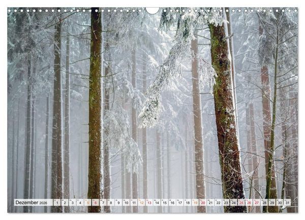 Produktbild: Wald - mystische Spazierg&auml;nge (Wandkalender 2026 DIN A3 quer), CALVENDO Monatskalender