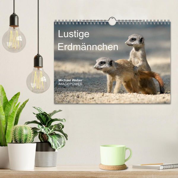Produktbild: Lustige Erdm&auml;nnchen (Wandkalender 2026 DIN A4 quer), CALVENDO Monatskalender