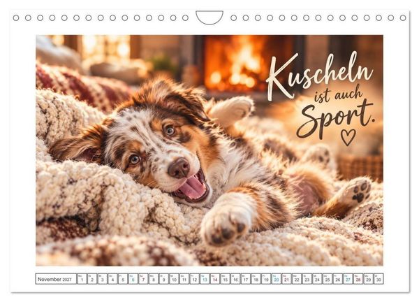 Produktbild: Zum Gl&uuml;ck gibt&rsquo;s Hunde (Wandkalender 2027 DIN A4 quer), CALVENDO Monatskalender