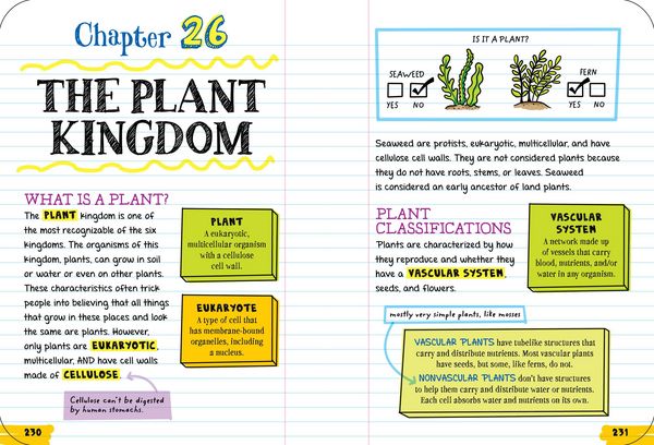 Produktbild: Everything You Need to Ace Biology in One Big Fat Notebook