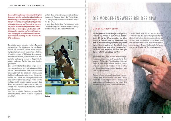 Produktbild: Stresspunktmassage nach Jack Meagher