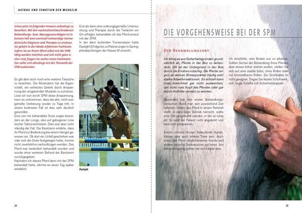 Produktbild: Stresspunktmassage nach Jack Meagher