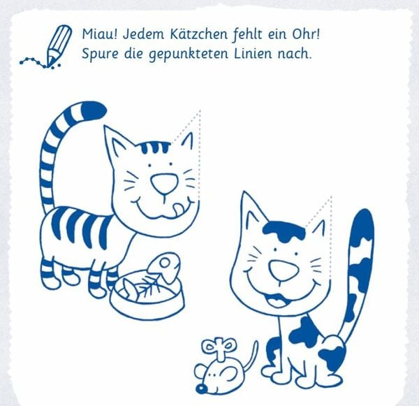 Produktbild: Der Zahlentiger