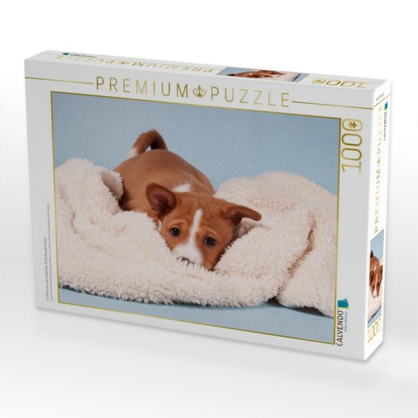 Produktbild: CALVENDO Puzzle Ein Motiv aus dem Kalender S&uuml;&szlig;e Basenji-Kinder | 1000 Teile Lege-Gr&ouml;&szlig;e 64x48cm Foto-Puzzle f&uuml;r gl&uuml;ckliche Stunden