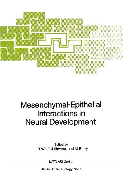 Produktbild: Mesenchymal-Epithelial Interactions in Neural Development
