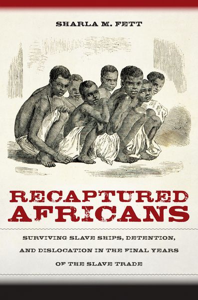 Produktbild: Recaptured Africans
