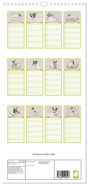 Produktbild: Familienplaner 2026 - Bodeguero Andaluz 2026 mit 5 Spalten (Wandkalender, 21 x 45 cm) CALVENDO