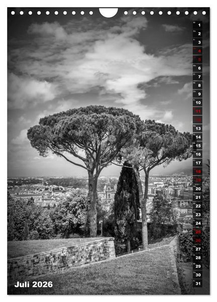 Produktbild: FLORENZ SCHWARZWEI&szlig; (Wandkalender 2026 DIN A4 hoch), CALVENDO Monatskalender