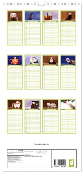 Produktbild: Familienplaner 2026 - Frettchen - Ferrets mit 5 Spalten (Wandkalender, 21 x 45 cm) CALVENDO