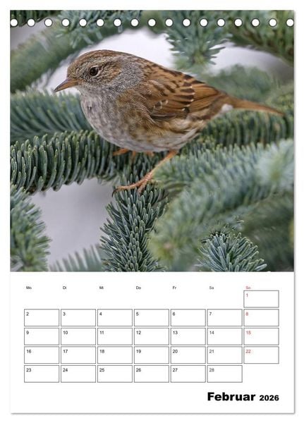 Produktbild: Bezaubernde V&ouml;gel im heimischen Garten (Tischkalender 2026 DIN A5 hoch), CALVENDO Monatskalender