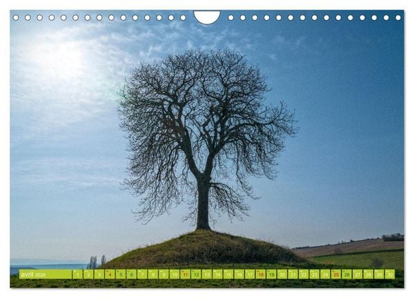 Produktbild: Solitude verdoyante (Calendrier mural 2026 DIN A4 vertical), CALVENDO calendrier mensuel