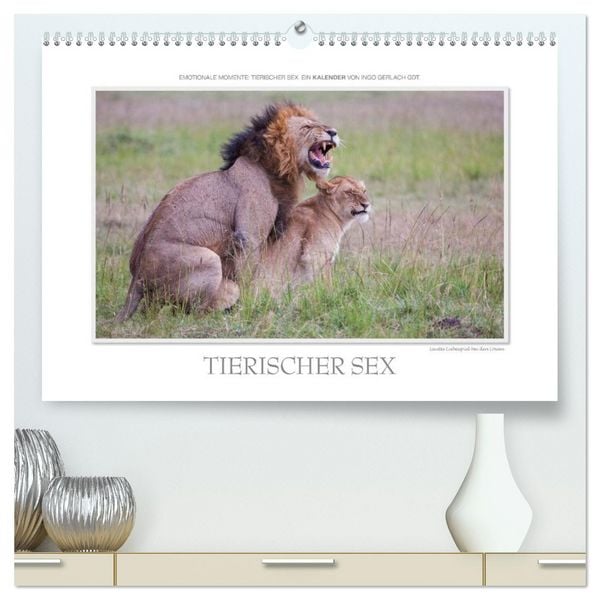 Produktbild: Emotionale Momente: Tierischer Sex. (hochwertiger Premium Wandkalender 2026 DIN A2 quer), Kunstdruck in Hochglanz