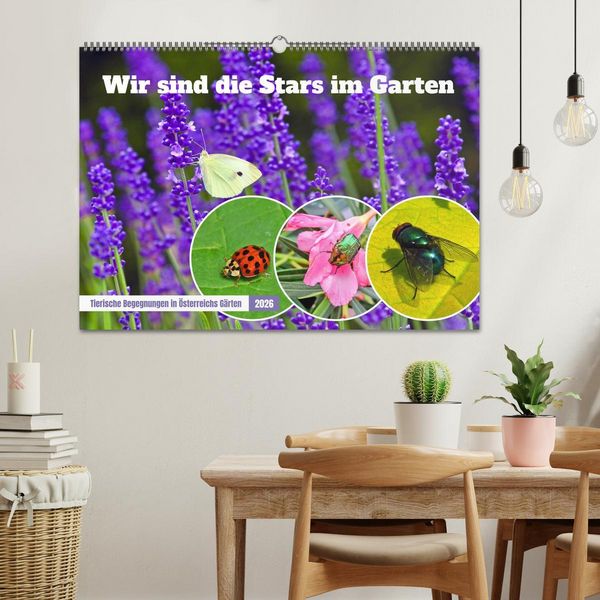 Produktbild: Wir sind die Stars im Garten (Wandkalender 2026 DIN A2 quer), CALVENDO Monatskalender