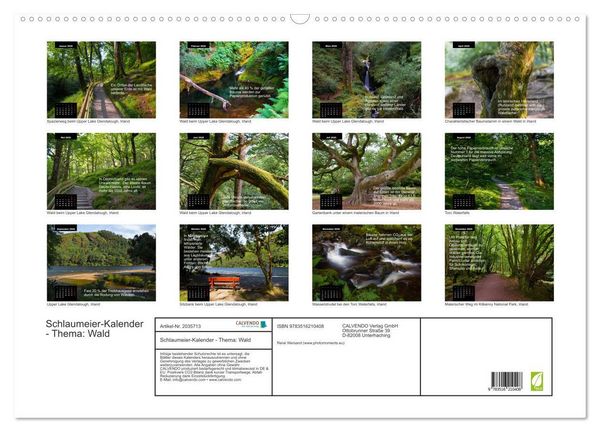 Produktbild: Schlaumeier-Kalender - Thema: Wald (Wandkalender 2026 DIN A2 quer), CALVENDO Monatskalender