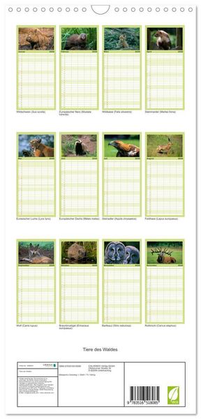 Produktbild: Familienplaner 2026 - Tiere des Waldes mit 5 Spalten (Wandkalender, 21 x 45 cm) CALVENDO