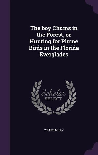 Produktbild: The boy Chums in the Forest, or Hunting for Plume Birds in the Florida Everglades