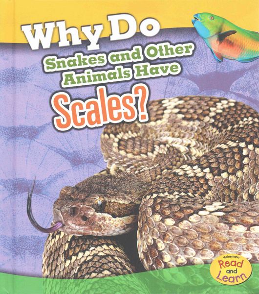 Produktbild: Why Do Snakes & Other Animals