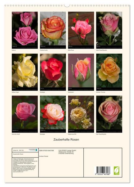 Produktbild: Zauberhafte Rosen (hochwertiger Premium Wandkalender 2026 DIN A2 hoch), Kunstdruck in Hochglanz