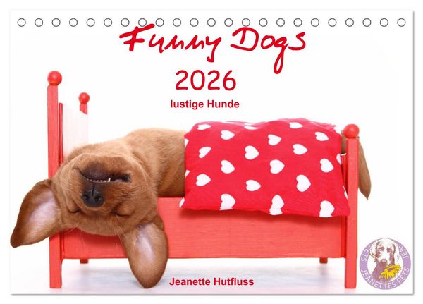 Produktbild: Funny Dogs (Tischkalender 2026 DIN A5 quer), CALVENDO Monatskalender