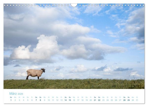 Produktbild: Mehr Nordsee (Wandkalender 2026 DIN A3 quer), CALVENDO Monatskalender