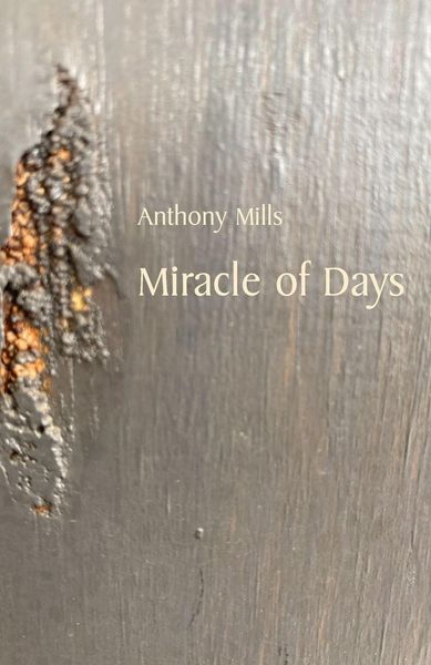 Produktbild: Miracle of Days