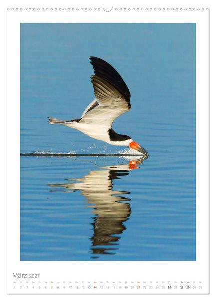 Produktbild: Pantanal &ndash; Einzigartiges Wildlife-Paradies (hochwertiger Premium Wandkalender 2027 DIN A2 hoch), Kunstdruck in Hochglanz