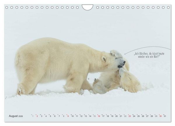 Produktbild: Emotionale Momente: Eisb&auml;ren - ganz menschlich gesehen. (Wandkalender 2026 DIN A4 quer), CALVENDO Monatskalender