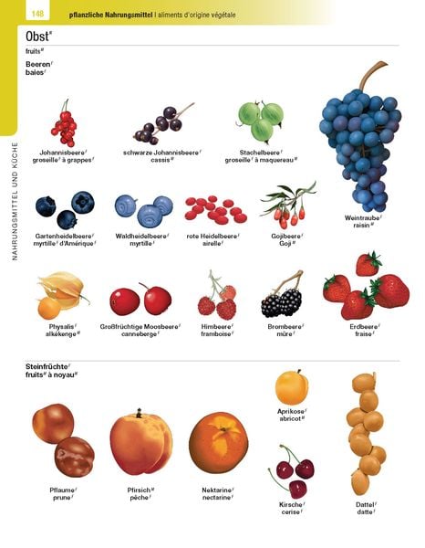 Langenscheidt Illustriertes Wörterbuch Französisch