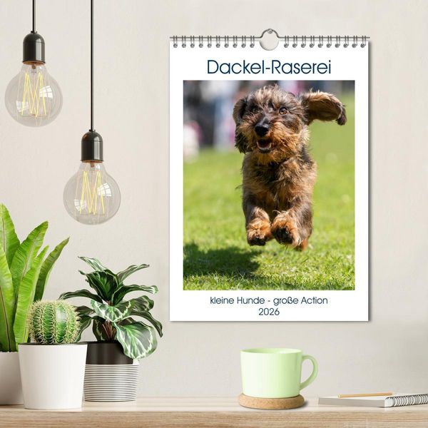 Produktbild: Dackel-Raserei (Wandkalender 2026 DIN A4 hoch), CALVENDO Monatskalender