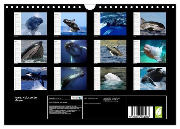 Produktbild: Wale. Kolosse der Meere (Wandkalender 2026 DIN A4 quer), CALVENDO Monatskalender