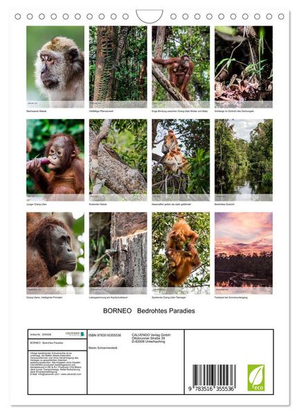 Produktbild: BORNEO Bedrohtes Paradies (Wandkalender 2026 DIN A4 hoch), CALVENDO Monatskalender