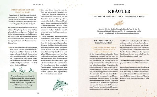 Produktbild: Zaubernuss und Waldmagie – Naturmomente für deine Seele
