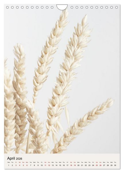 Produktbild: Dried Flowers (Wall Calendar 2026 DIN A4 portrait), CALVENDO 12 Month Wall Calendar