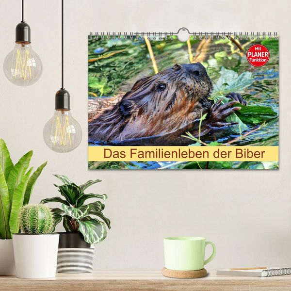 Produktbild: Das Familienleben der Biber (Wandkalender 2026 DIN A4 quer), CALVENDO Monatskalender
