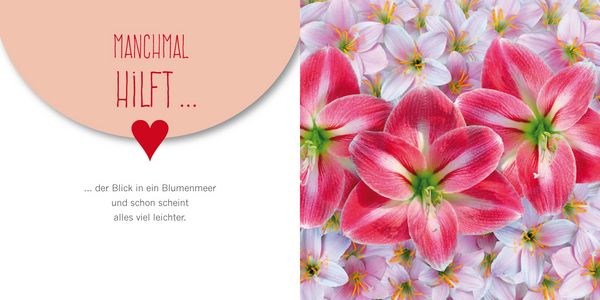 Produktbild: Alles was kommt wird sicher gut