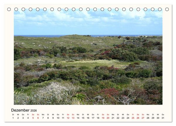 Produktbild: Borkum - Ruhig inmitten der Wogen (Tischkalender 2026 DIN A5 quer), CALVENDO Monatskalender