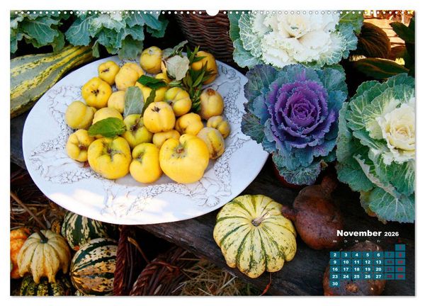 Produktbild: Urlaub im Garten (Wandkalender 2026 DIN A2 quer), CALVENDO Monatskalender