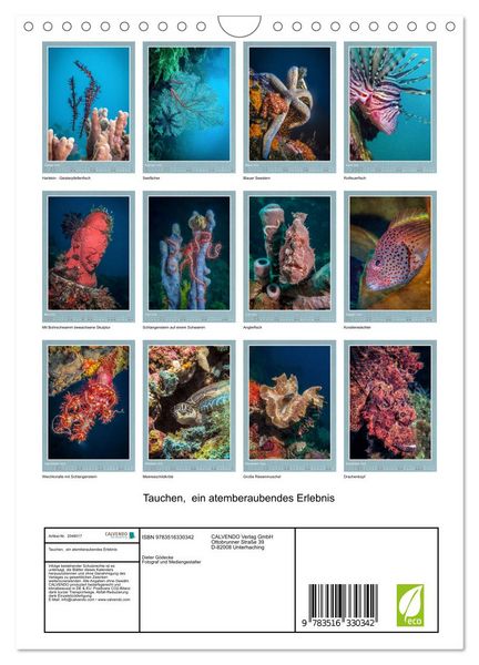 Produktbild: Tauchen, ein atemberaubendes Erlebnis (Wandkalender 2026 DIN A4 hoch), CALVENDO Monatskalender