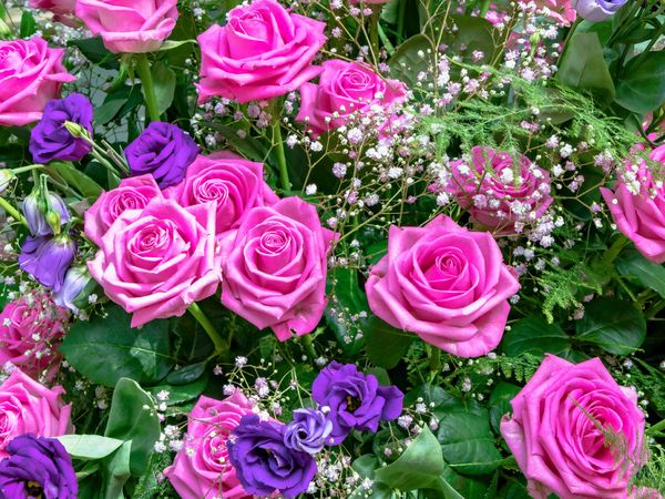 Produktbild: CALVENDO Puzzle Strau&szlig; mit rosa farbenen und blauen Rosen mit Schleierkraut | 1000 Teile Lege-Gr&ouml;&szlig;e 64x48cm Foto-Puzzle f&uuml;r gl&uuml;ckliche Stunden
