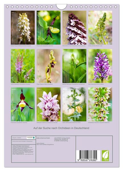 Produktbild: Auf der Suche nach Orchideen in Deutschland (Wandkalender 2026 DIN A4 hoch), CALVENDO Monatskalender