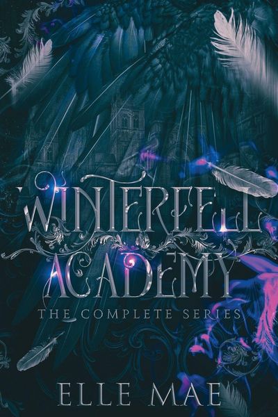Winterfell Academy, Taschenbuch von Elle Mae, Elle Mae, 9781959187073